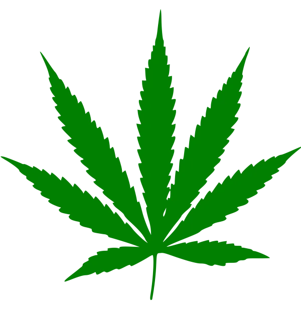 Pot leaf