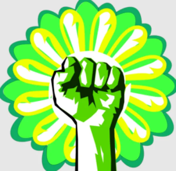 Fist