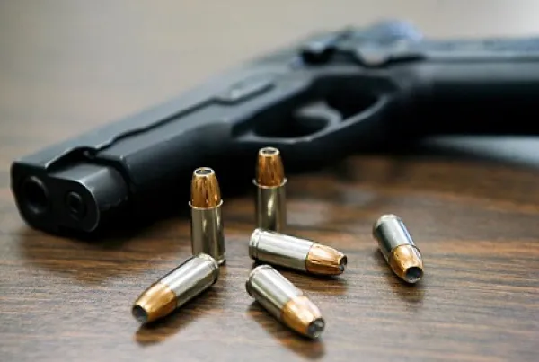Handgun and bullets