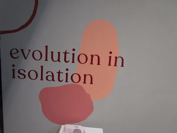 Title of show