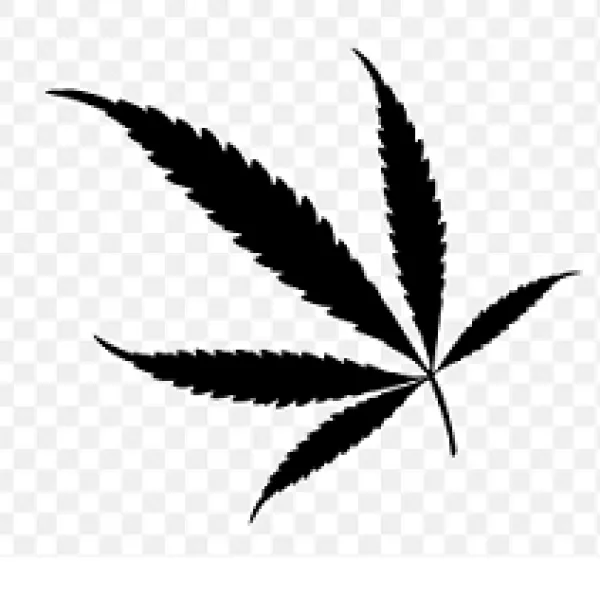 Marijuana leaf