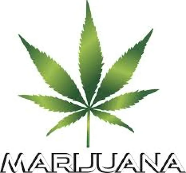 A big green leaf with 7 leaves, a pot leaf it is, with words MARIJUANA in capitals below